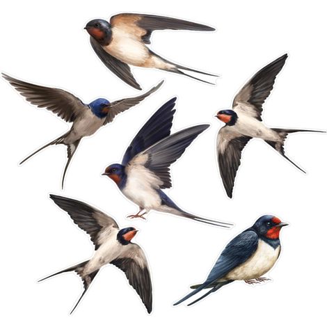 Prevenga accidentes con aves con des-CBCJD206 (1/2)