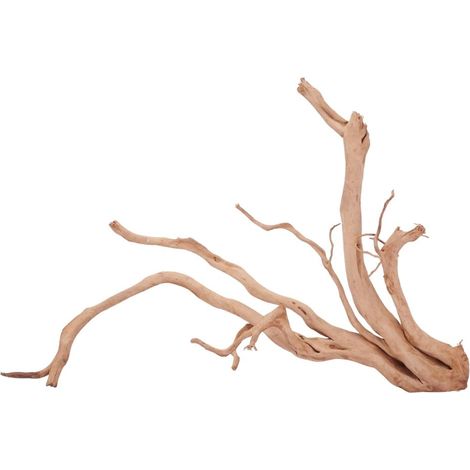 XXL Moorkienwurzel Nr.4312 Holz Deko Aquascaping