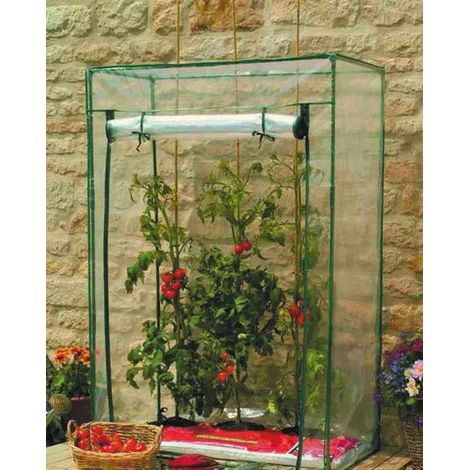 Tomaten Gewächshaus (1/5)