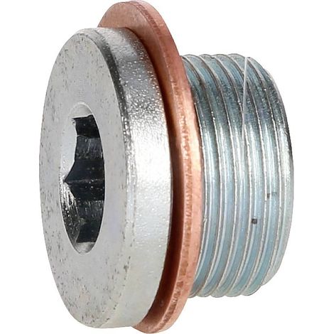 Bouchon de vidange M24 x 1,5 x 18 mm pour Renault (1/4)