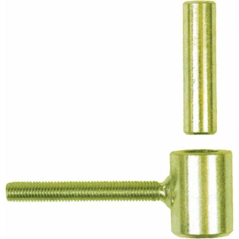 60 Gonds de volet Standard D. 10 x 80 mm - Clav. D.14 x 60 mm - Simple volet - Zingué jaune