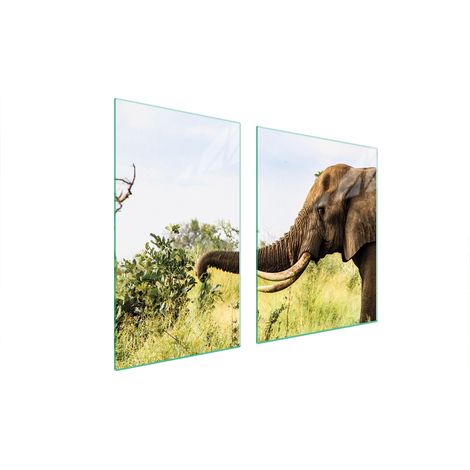 Assiette en verre et planche à découper éléphant 100x52 (1/5)
