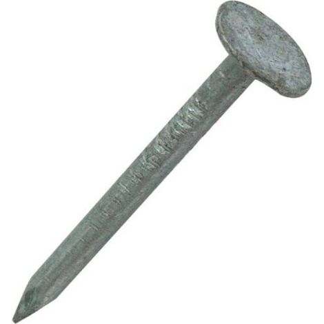 Pointe en Vrac Tête Extra Large (Tel) Lisse Galvanisée à Chaud (Hdg) - 2.8x40 mm - 1 kg - D-Work (1/3)