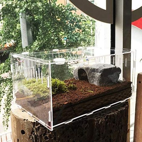 Boite De Transport Mini Terrarium - Boite D Alimentation Pour Reptiles - Boite D Elevage Portable Transparente - 29 X 19 6 X 15 Cm - 1 Unite (1/4)