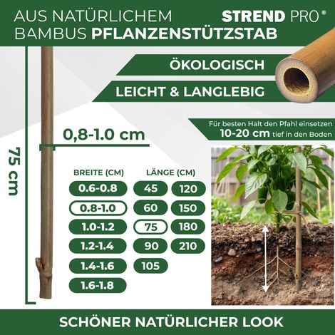 Stab Garden KBT 750/8-10 mm, Pack. 10 Stk., Bambus, Stützstab für Pflanzen (1/3)