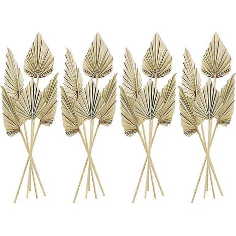20 feuilles de palmier séchées de style bohème, avec tige, pour vase décoratif. (1/4)