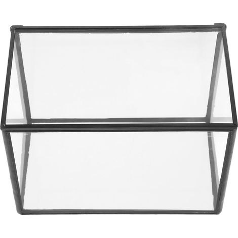 aus Glas für Pflanzen und Blumen mit Stabiler Glasstruktur (1/5)