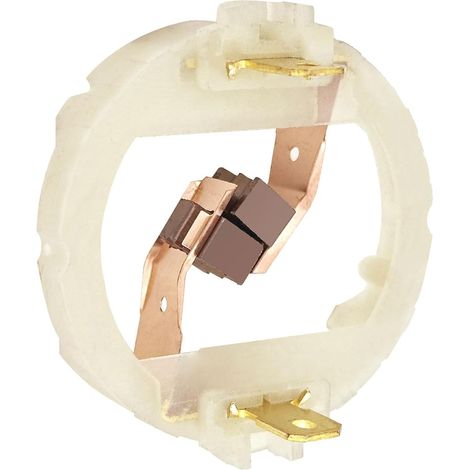 Balais Charbon pour Perceuse Visseuse Moteur 895 887 875, Charbon Moteur Electrique Compatible avec Moteurs RS895 RS875 RS887,avec Supports de Balais,pour Outils Électroportatifs (1/5)