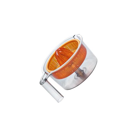 Presse agrumes Bosch 00572478