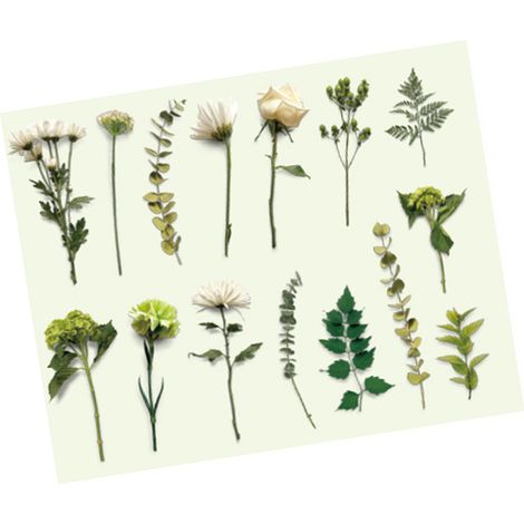 30 autocollants botaniques vintage avec fleurs et feuilles - Autocollants floraux vintage pour ordinateurs portables, scrapbooking, carnets, agendas et création de cartes (Dans la brume des montagnes) (1/5)