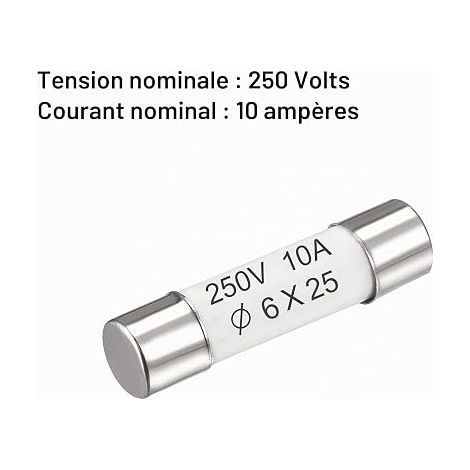 Fusibles à Cartouche Tube en Céramique 10A 250V 6x25mm, Fusible à Coupure Rapide pour Amplificateur Lampe à Économie Énergie Ballast (1/3)