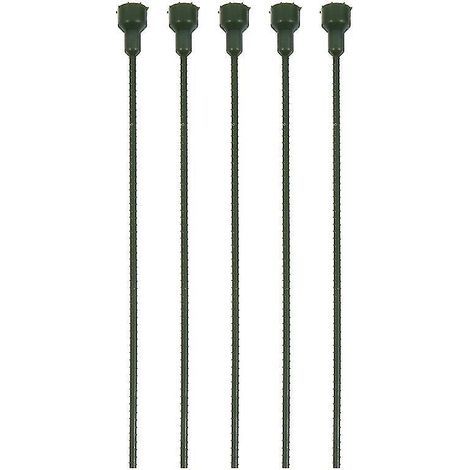 5 Blütenkopfstiele (1/3)