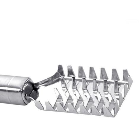 Brosse détartreur de poisson en acier inoxydable, dissolvant d'écailles, élimine facilement les écailles, grattoir de nettoyage, outil de cuisine. (1/5)