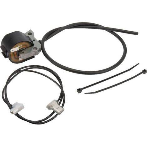 Bobina accensione AS-Motor AS-MOTOR E10844ASM