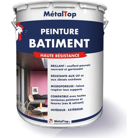 Peinture Bâtiment - Gris fer - RAL 7011 - 5 L - Métaltop (1/5)