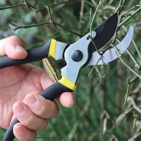 Molla elicoidale per potatura, pezzi di ricambio in acciaio inossidabile, 5 pezzi (1/3)