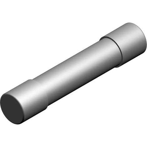 BOSCH Fusibile fine 1,25 AT/220V (10x), 7100320