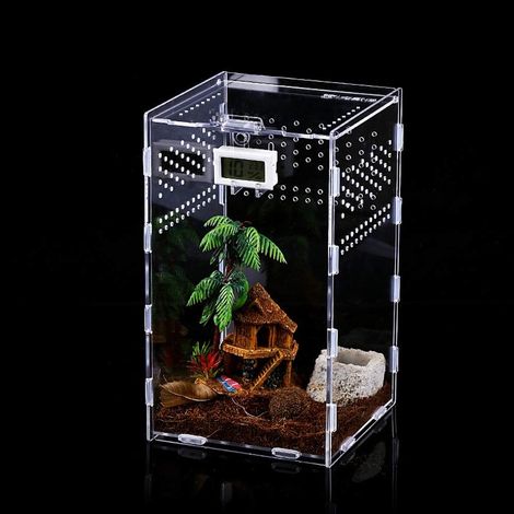 Boîte Alimentation Insectes - Acrylique Transparent 12x12x20 cm - Pour Reptiles Araignées Scorpions Lézards - 1 Pièce (1/5)