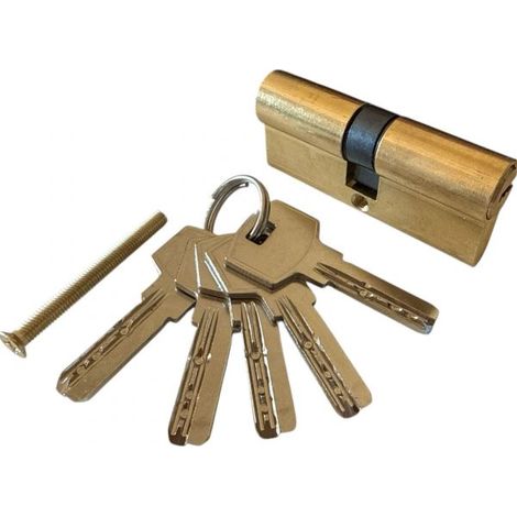 Serratura Cilindro Sicurezza Per Serrature da 70mm Con 5 Chiavi Lucchetto Porta