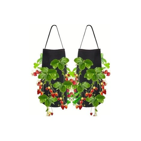 Sac de culture suspendu pour fraises en feutre, pot de plantation horticole pour fleurs et semis, Composition : 21,5 × 57,4 cm, Couleur : noir (1/5)