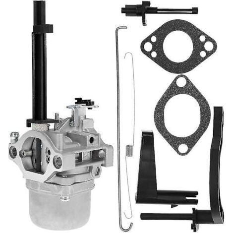 Carburateur 793779 pour moteur série 1450 Craftsman Nikki. Kit carburateur 793779 avec joint. (1/5)