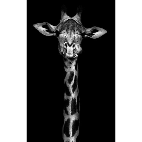 Tableau Girafe en noir et blanc - 50x80cm - made in France (1/5)