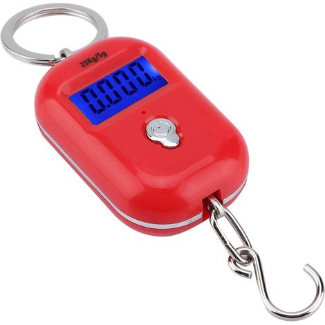 Fdit Balance Numérique Portable 25 Kg/5 G Balance électronique 500 G/0 (1/5)