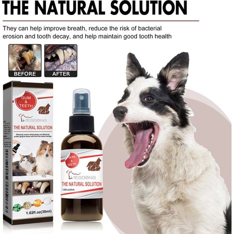 Zahnreinigungsspray für Hunde und Katzen, entfernt Mundgeruch, Verfärbungen und Zahnstein, für die Mundhygiene – 30 ml -- DE (1/5)