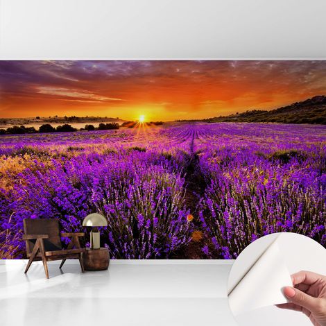 Tapete Selbstklebend - abwaschbar - trendige Wanddeko - elegant Fototapete  Lavendelfarbener Sonnenuntergang 416x254 cm (1/5)