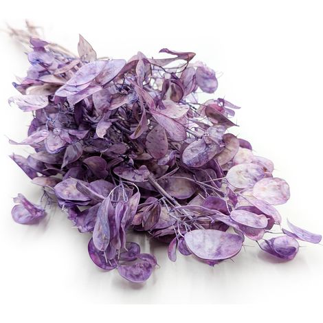 Aguardiente de luna - (Lunaria seca) - Lavanda (1/5)