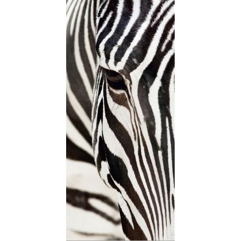 Zebra, intissé photo mural, 90 x 202 cm, 1 part (1/3)