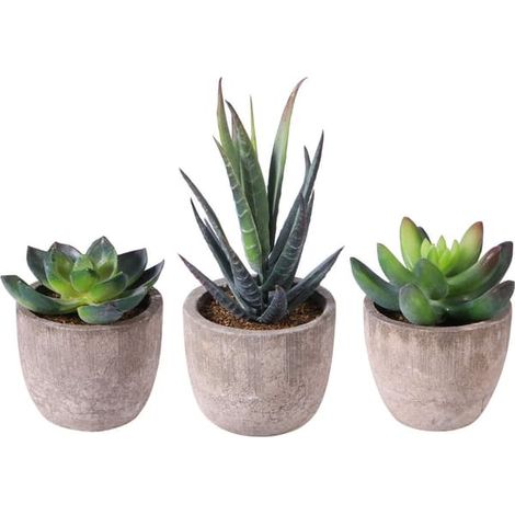 Lot de 3 plantes succulentes artificielles/cactus artificiels/simulation de cactus en pot pour la décoration intérieure et extérieure (bonsaï). (1/5)