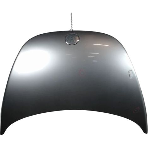 Capot VOLKSWAGEN Newbeetle [PRODUIT D'OCCASION]♻️1c0823031l (1/2)