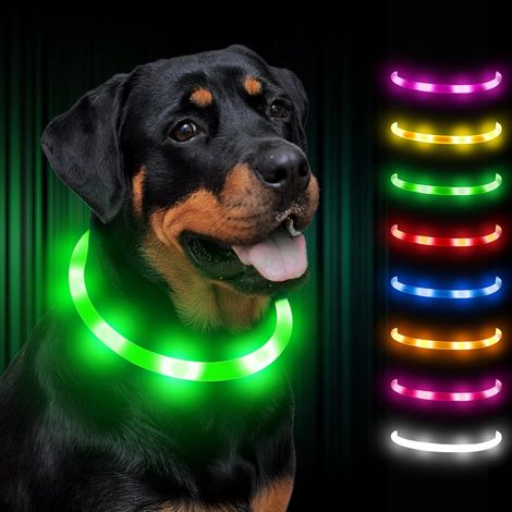Collar luminoso para perros, ajustable, recargable, LED para perros pequeños, grandes y medianos – Verde (1/5)