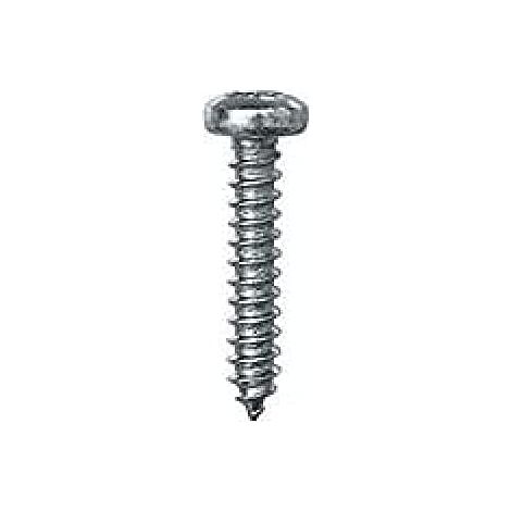 Restagraf Vis a Tole Tete Cylindrique Bombee Pozi Zn Blanc St 3,5x19 mm Din 7981 Compatible avec Tout Type de Vehicule (Pack de 55 Pcs) (1/5)