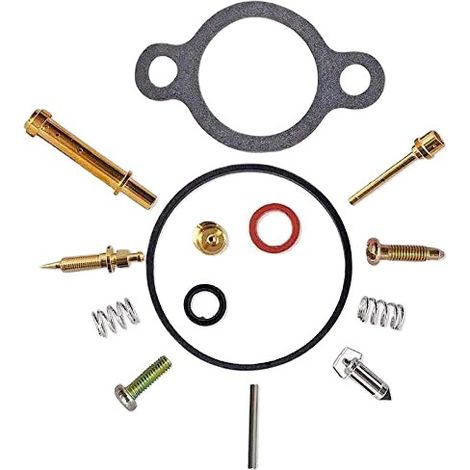 Kit de réparation pour carburateur Kawasaki FC420V KD2153 R550 (1/5)