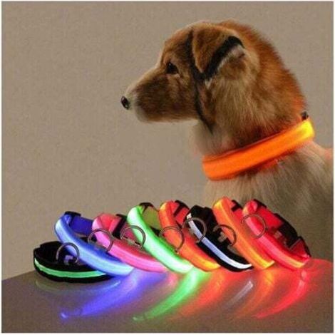 orange lumière bleue 2pcs LED collier lumineux chien longueur de charge USB réglable-lumière (1/3)