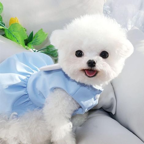 1 robe pour chien, coton, bleu, motif ailes d'ange, sans manches, été/automne, taille S/M/L/XL (1/5)