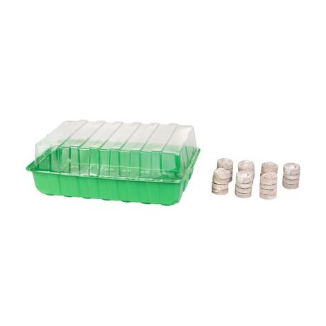 Mini-Gewächshaus Strend Pro Herrison MG-029, mit 28 Kokos-Pellets, 36x22x7 cm