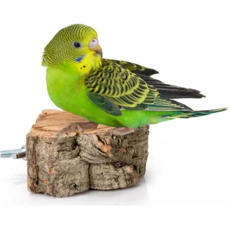 Estante BioCork. Percha natural, estante hecho de ramas de alcornoque para loros. (1/5)