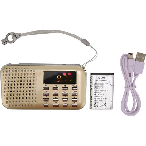 Radio Numérique Mini Portable avec Subwoofer, Lecteur MP3 Carte, Enceinte Basse pour Senior, Or (1/5)