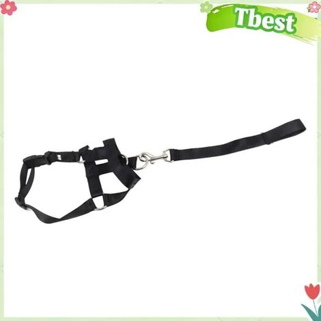 Tbest Corde de bouche de chien Muselière pour chien avec corde de remorquage, collier de tête réglable pour chien, animalerie kit S (1/5)
