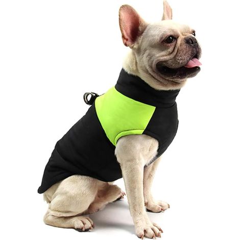 Gilet coupe-vent chaud pour chien d'hiver imperméable (S, vert) (1/2)