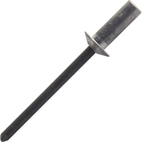 250 rivets aveugles étanches alu/acier TP, D. 4.8 x 16 mm - WAD4816 - Scell-it (1/5)