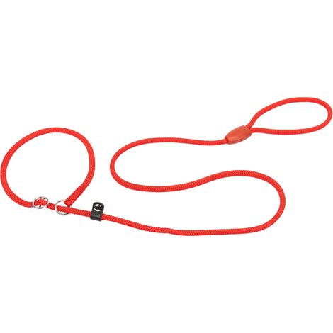 Laisse et Collier SPOR pour Chien, Laisse avec Collier Demi-étrangleur Ajustable, en Corde de Nylon, Poignée pour Un Contrôle Sûr, Longueur 160 cm, Rouge (1/5)