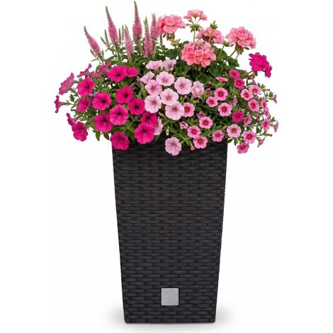 Prosperplast Blumentopf Rato Square mit Einsatz, Anthrazit, Kunststoff, 50/61cm, Höhe: 61 cm