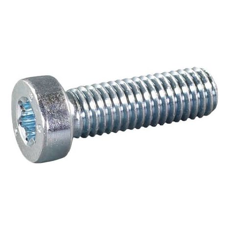 Vite con testa cilindrica M8x25 AS-MOTOR E05833ASM