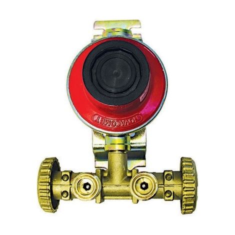 MINI CENTRALINA CON REGOLATORE 1800 SENZA MANICHETTE Misura: Kg/H 4