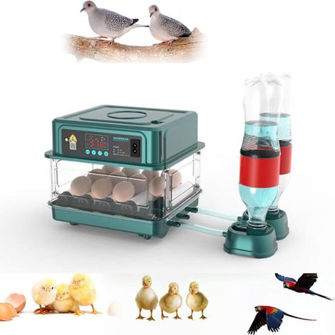 Incubateur automatique, capacité 15 œufs, pour œufs de volaille, avec contrôle de l'humidité, retournement automatique et éclairage LED.-AquaForge (1/5)