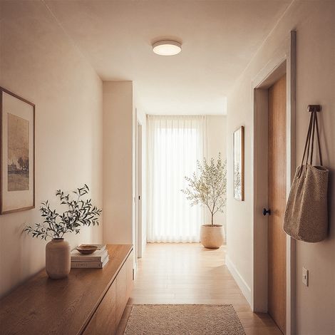 Plafonnier LED 17W CCT Sélectionnable Ø300 mm Sfere Avec Mode Nuit Sélectionnable (chaud-neutre-froid) (1/5)